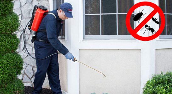 Küçükçekmece Kemirgen İlaçlama böcek ilaçlama ve haşere kontrolü — ilaclama-tr.com